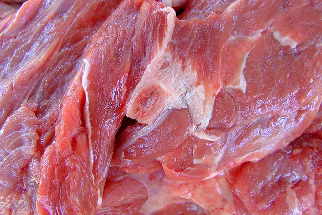 Fleisch III